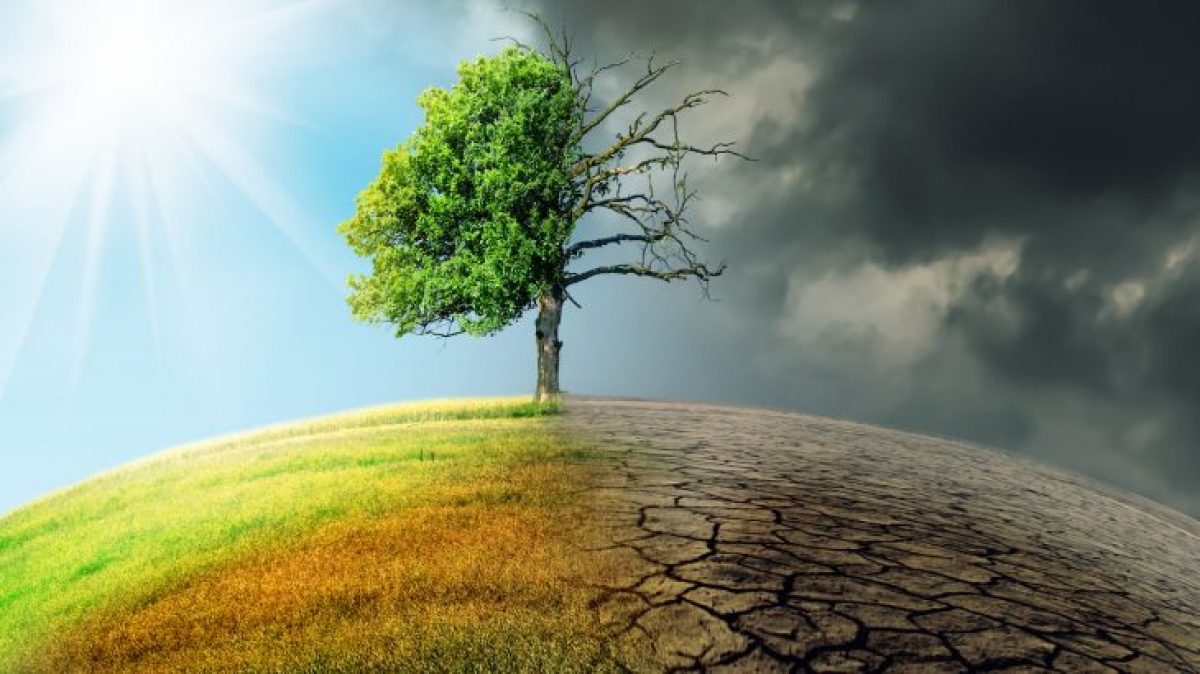 Quản trị đất đai đa mục tiêu trong biến đổi khí hậu